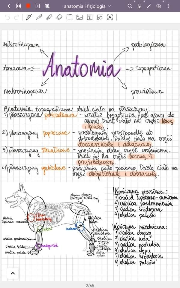 notatki-anatomia i fizjologia zwierząt technik weterynarii