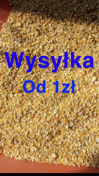 Kukurydza mielona dla kur 25kg tylko wysyłka