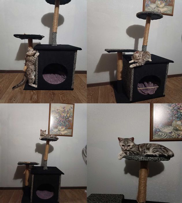 Для котів дряпалки та хатинки (нові)