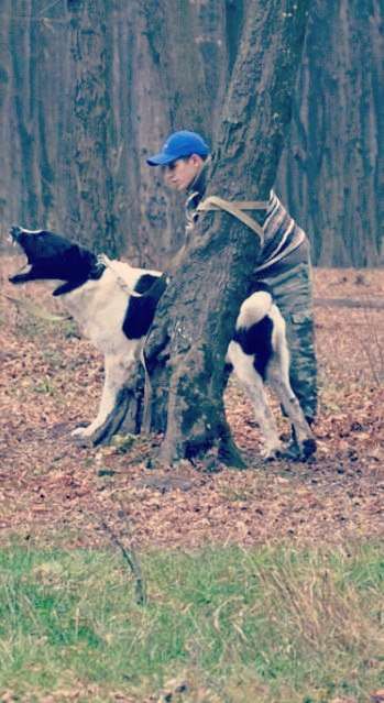 ШОС "Арес-Абрай" (Дресирування собак, без вікових та породних обмежень