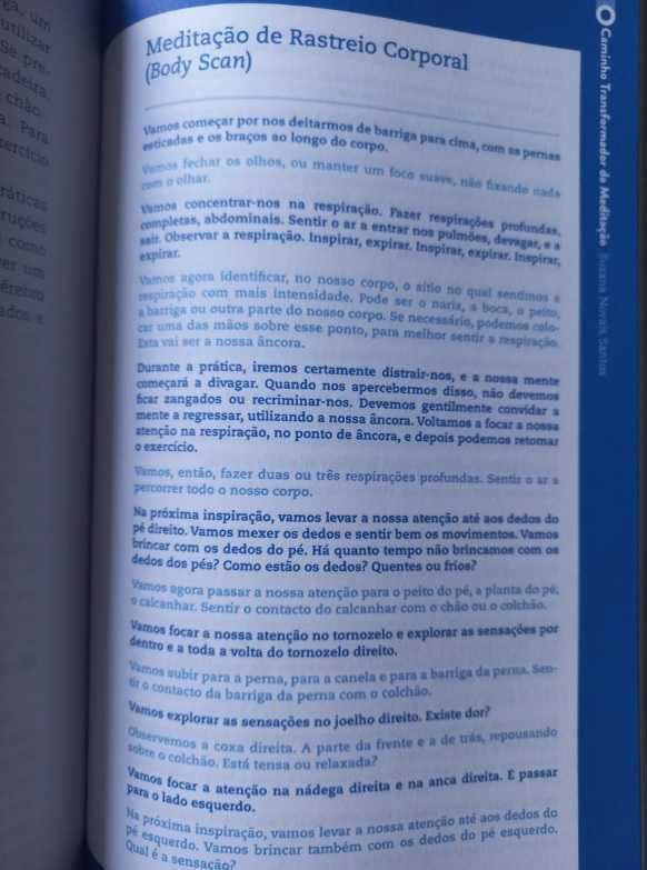 O Caminho Transformador da Meditação - Susana Novais Santos