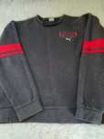 Bluza męska szara puma rozmiar xl (56/58)