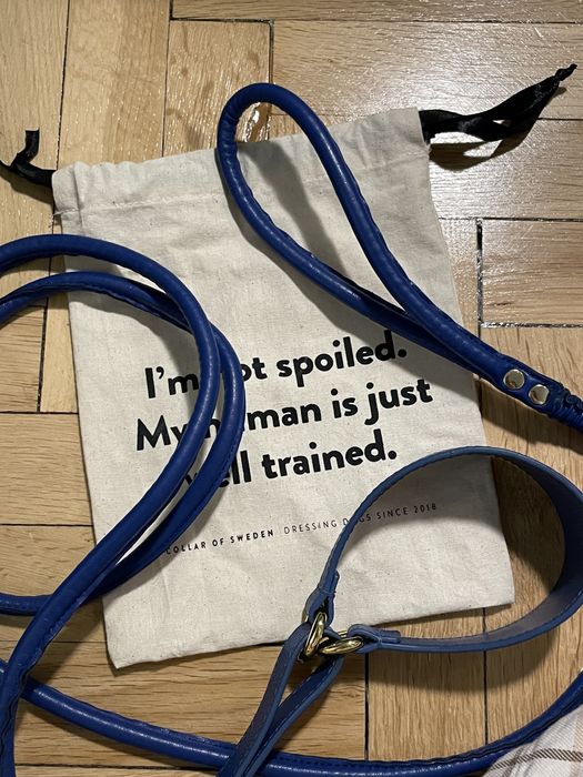 Obroża i Smycz dla psów