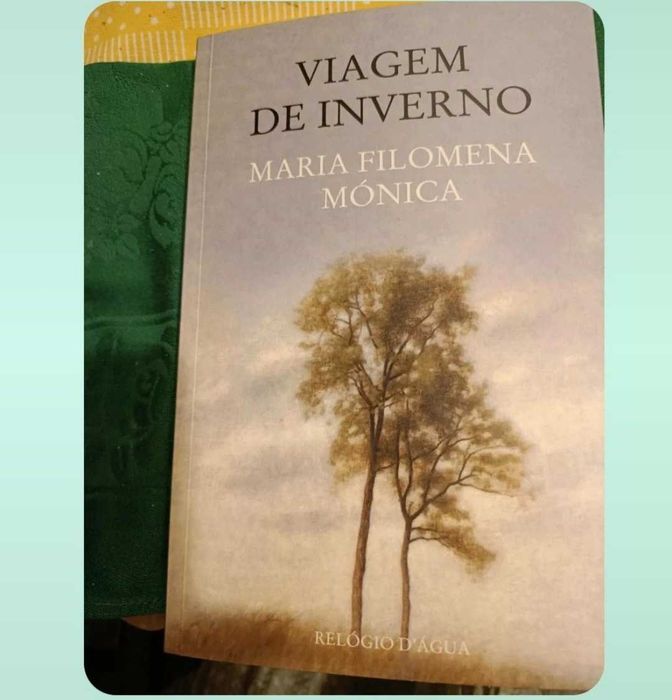 Livro Viagem de inverno