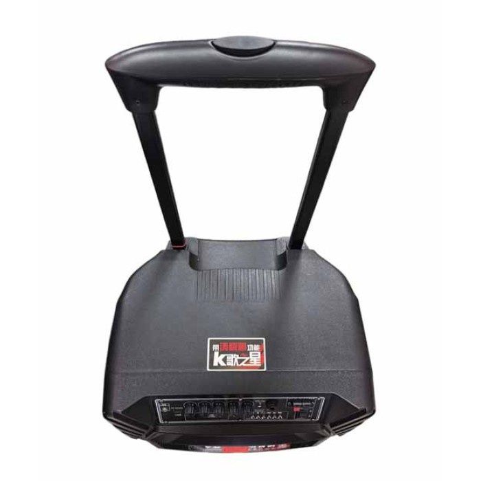 Караоке акустика Temeisheng-A15(Bluetooth,SD,USB,FM) пульт ДУ, 2микроф