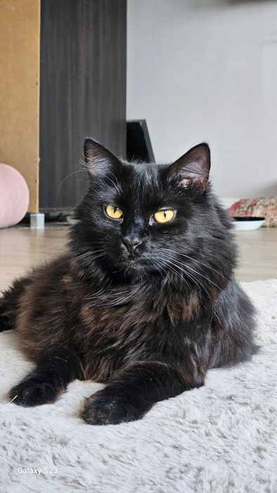 Hej Człowiek- ile mamy czekać na dom?