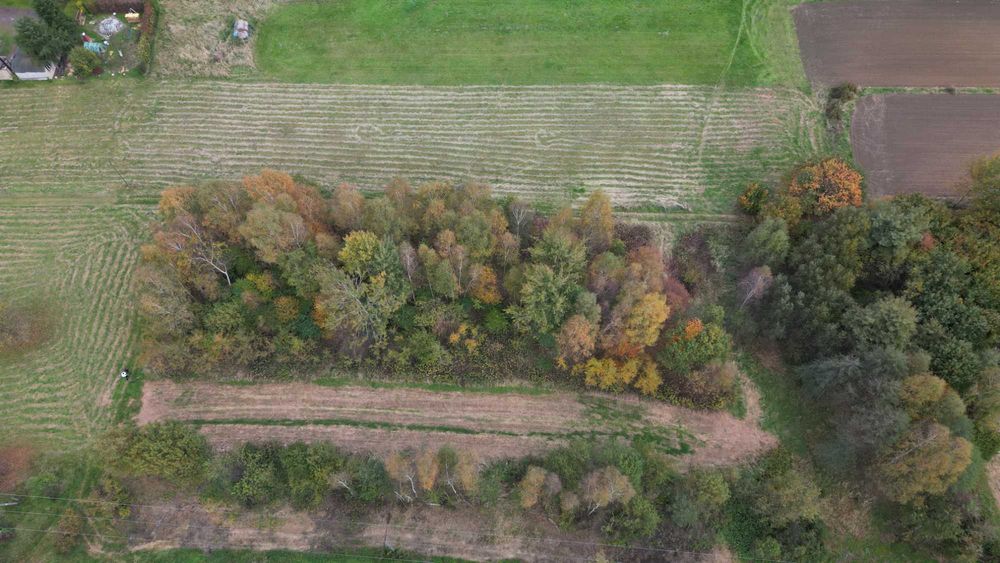 Duża działka w zielonej części Wodzisławia Śląskiego – 3411 m²