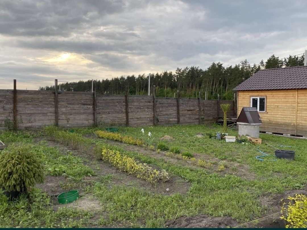 Продаж ділянки село Лісне 12 соток.З будиночком.