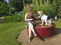 Petsitter Opieka w domu pies/królik/gryzonie (hotelik) Koty (wizyty)