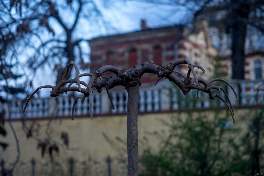 Объектив Minolta Rokkor 58/1,4