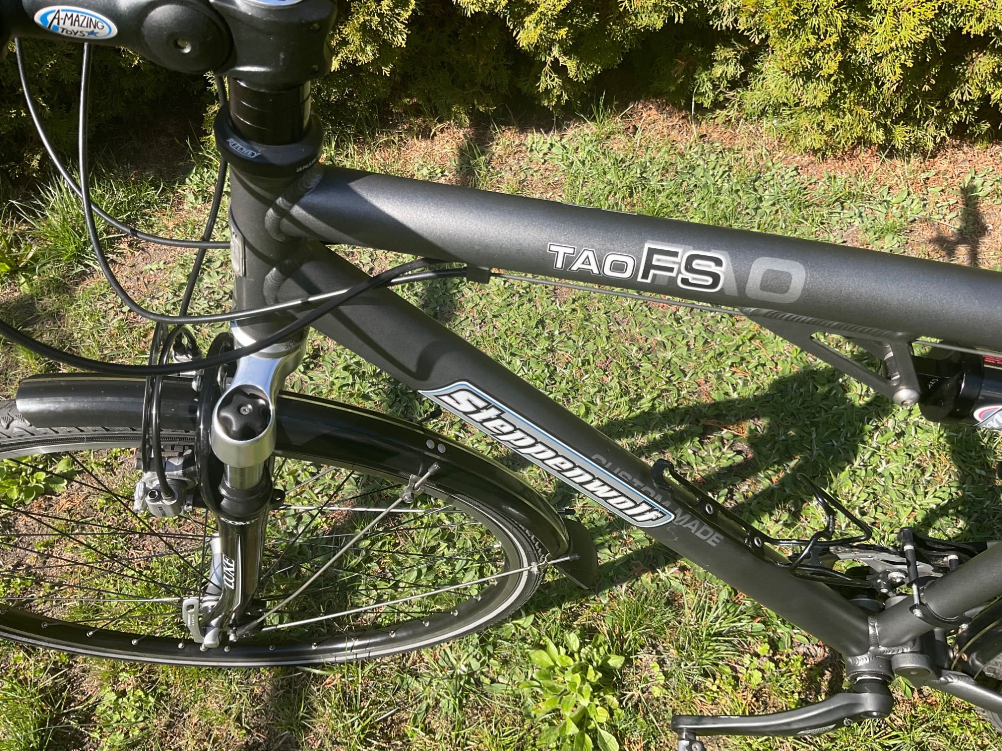 Steppenwolf TAO FS Rohloff full Manitou Magura Ritchey Mavic Deore LX
