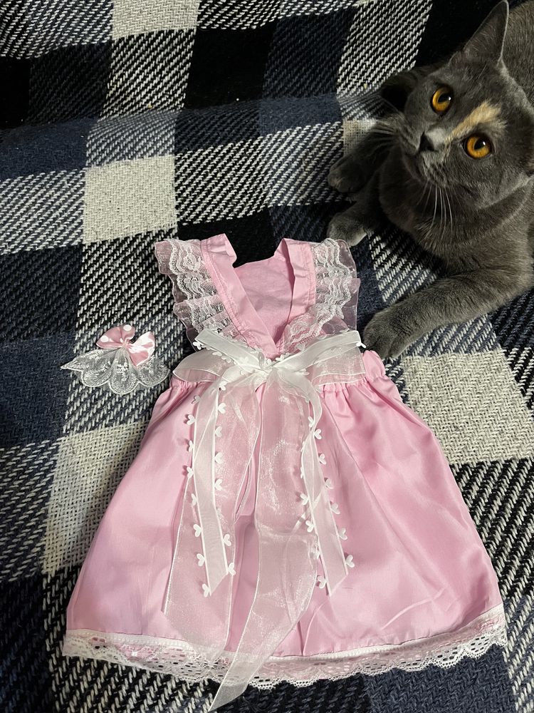 Одяг для кішки - сукня.