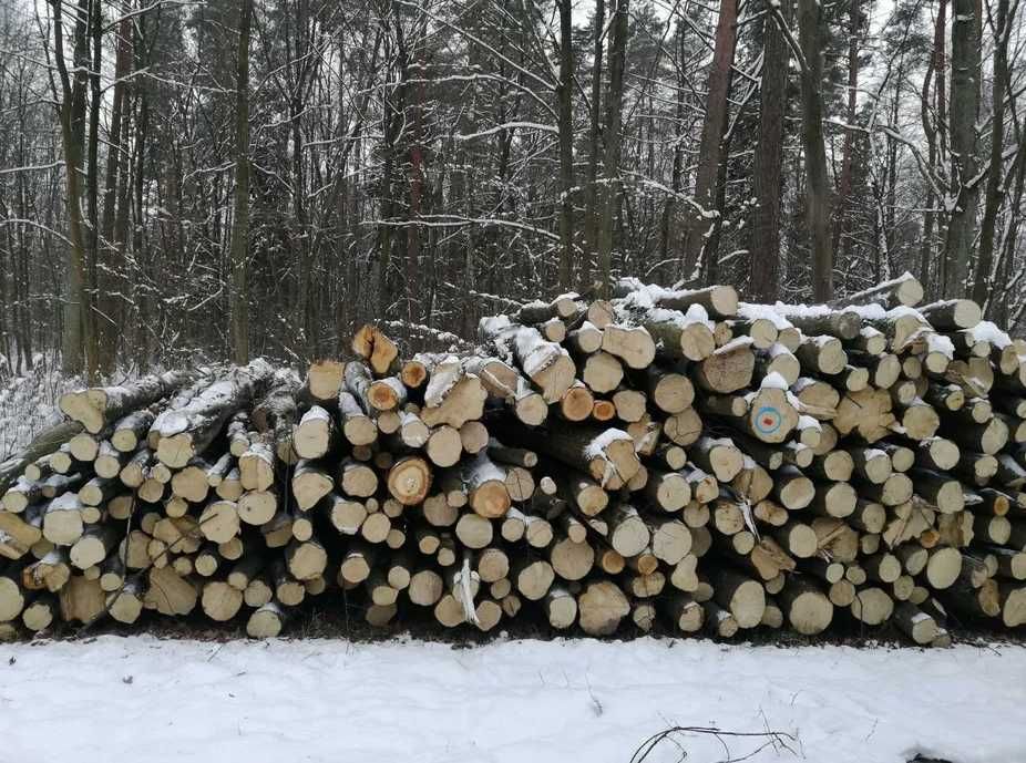 Drewno opałowe, kominkowe, wałki, transport gratis