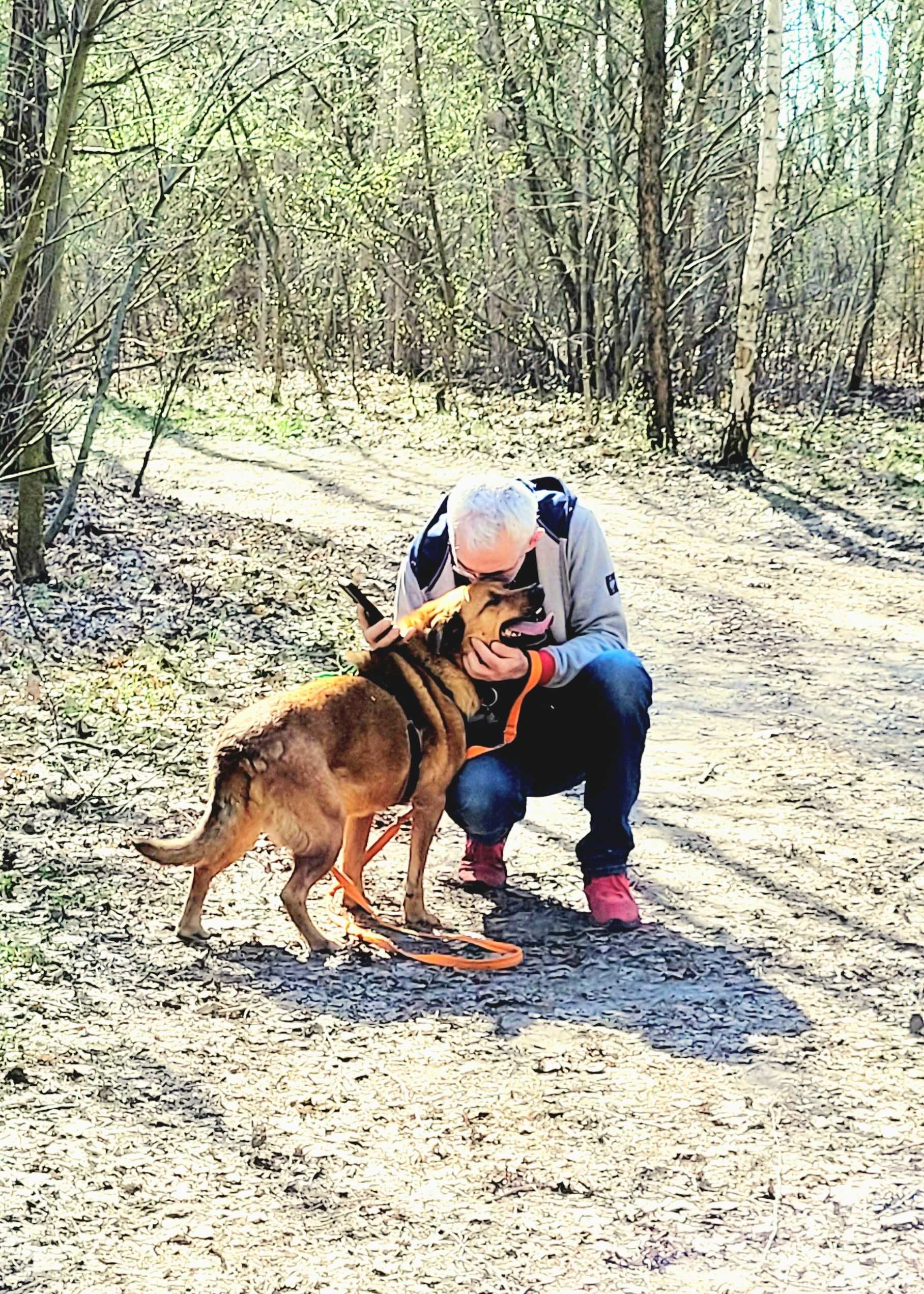 Kto pokocha słodziaka Jogiego?