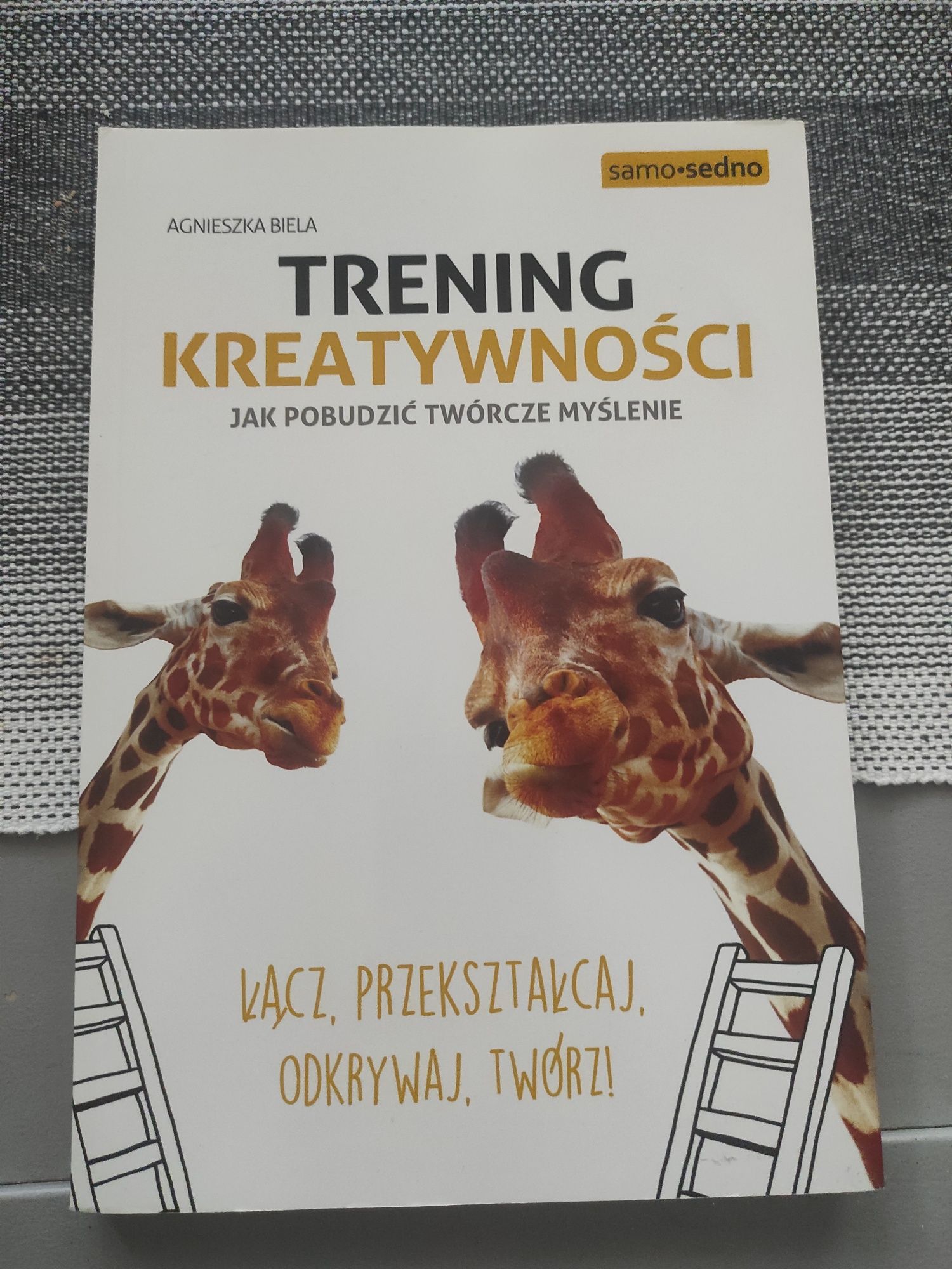 Agnieszka Bielą Trening kreatywności