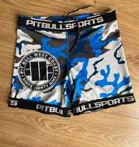 Szorty Pit bull valetudo mma bjj