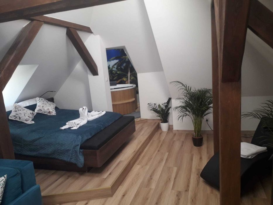 Apartament do wynajęcia