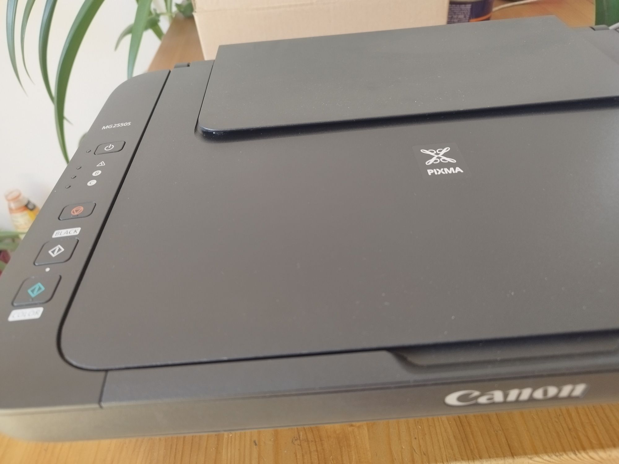 Drukarka Canon MG2550S