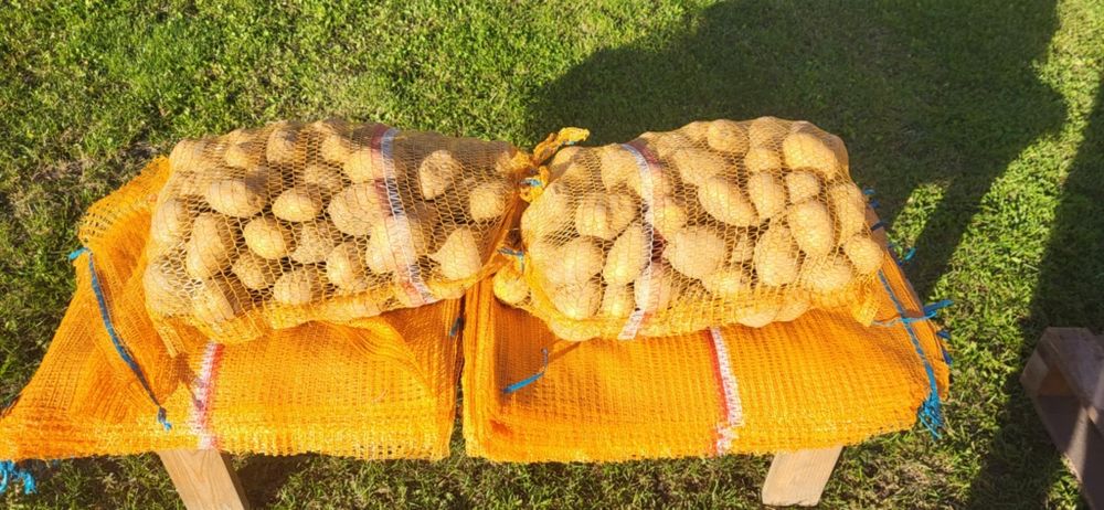 Sprzedam Ziemniaki Denar