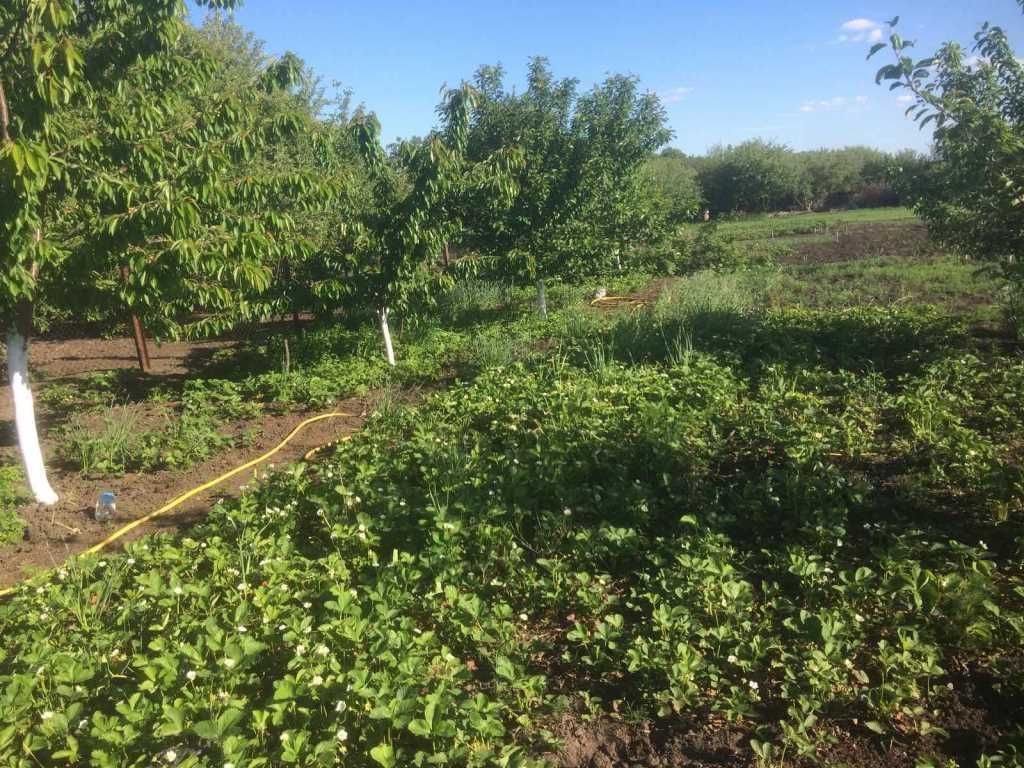 Затишний будинок з ділянкою 1 га за містом