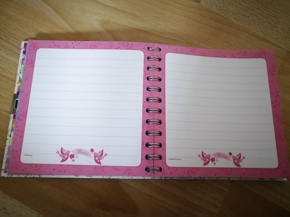Notes pamiętnik zeszyt z kłódką Minnie