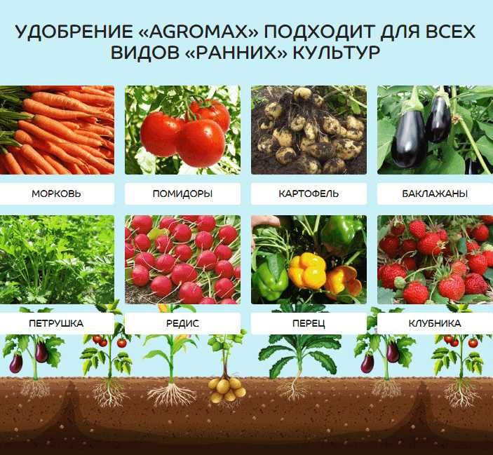 Купити оптом Agromax добриво удобрение Агромакс Agroplant Биогард