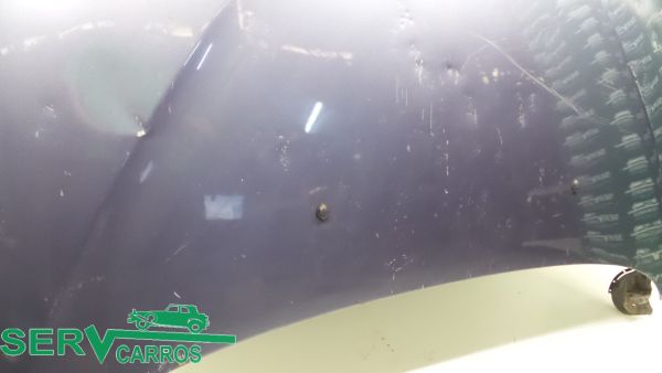 Capot RENAULT Scénic I (JA0/1_)