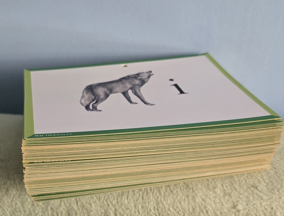 Pomoce dydaktyczne karty 95 sztuk