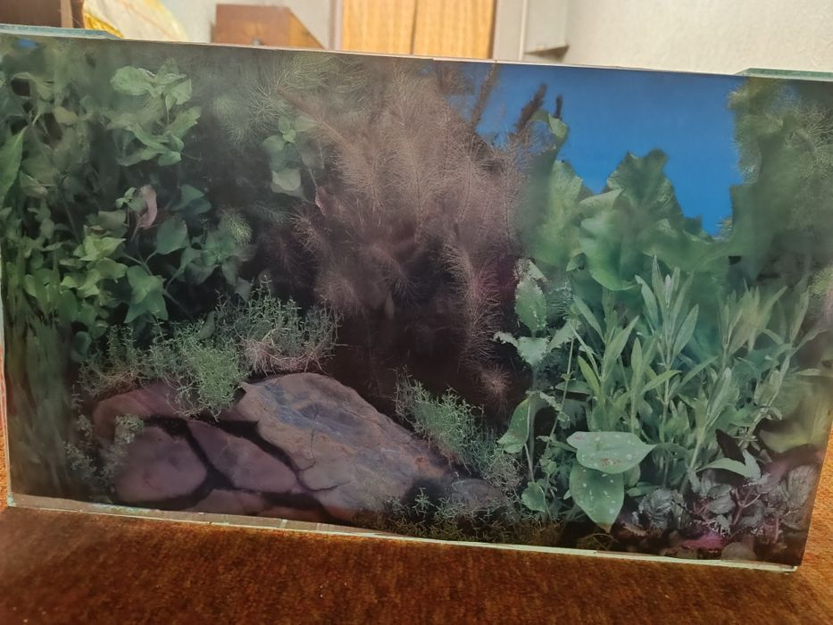 Продам уживаний акваріум 35-40 л