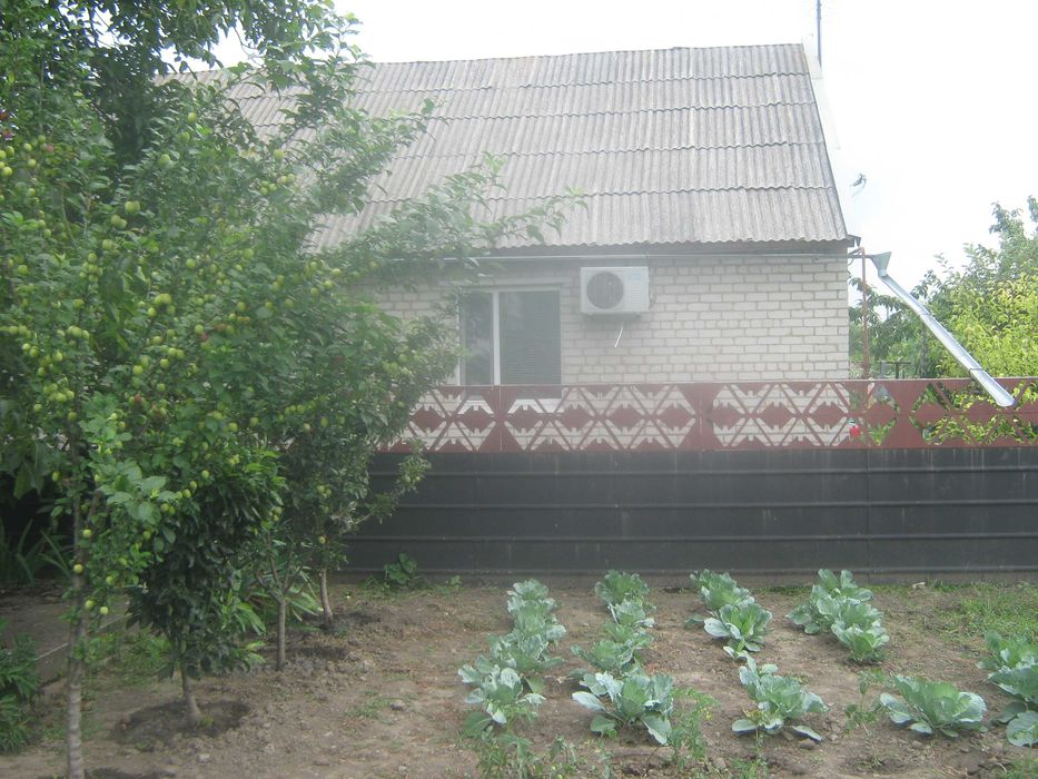 Продам будинок в смт Новомиколаївка (з/станція Верхньодніпровськ)