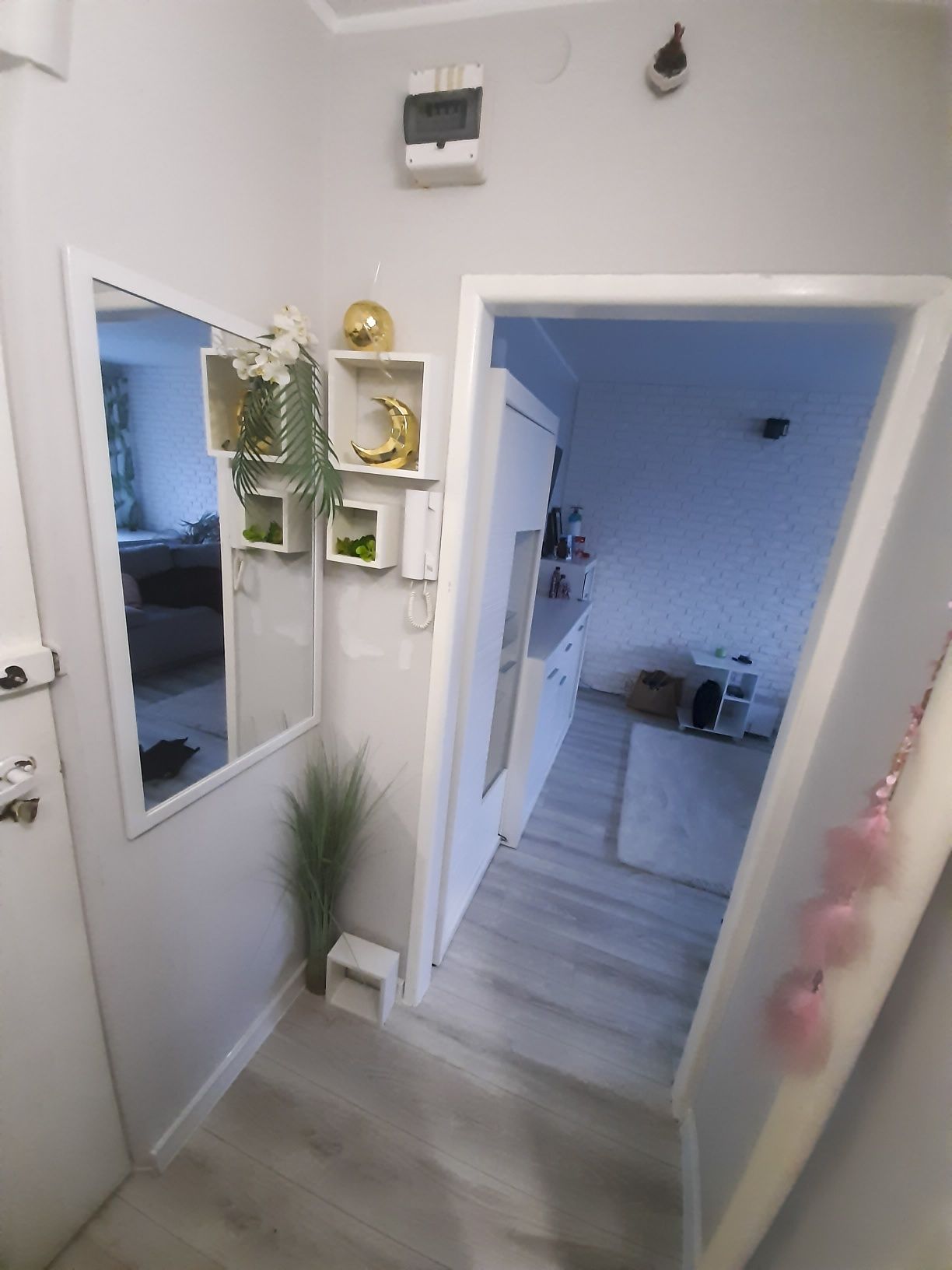 Kawalerka do wynajęcia 30m2