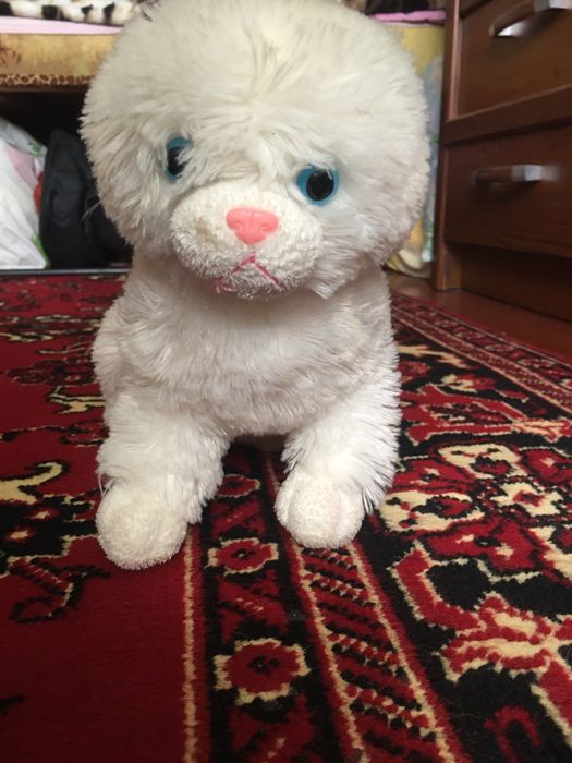 Белая кошечка