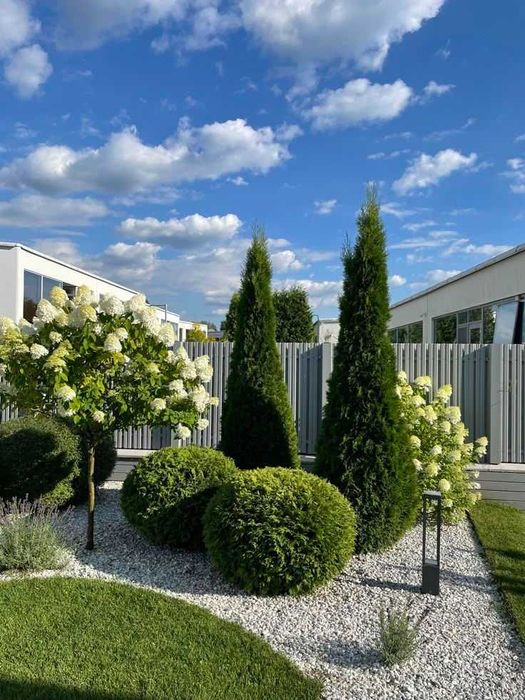 Озеленення ділянки,ландшафтні послуги