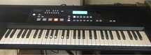 Клавішний інструмент Roland E-X50.