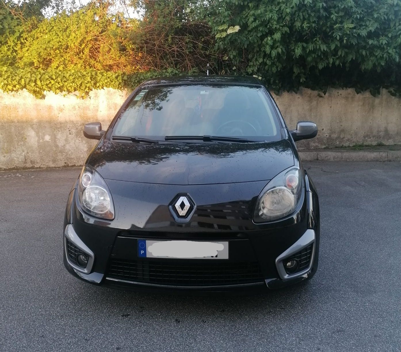 Renault Twingo R.S