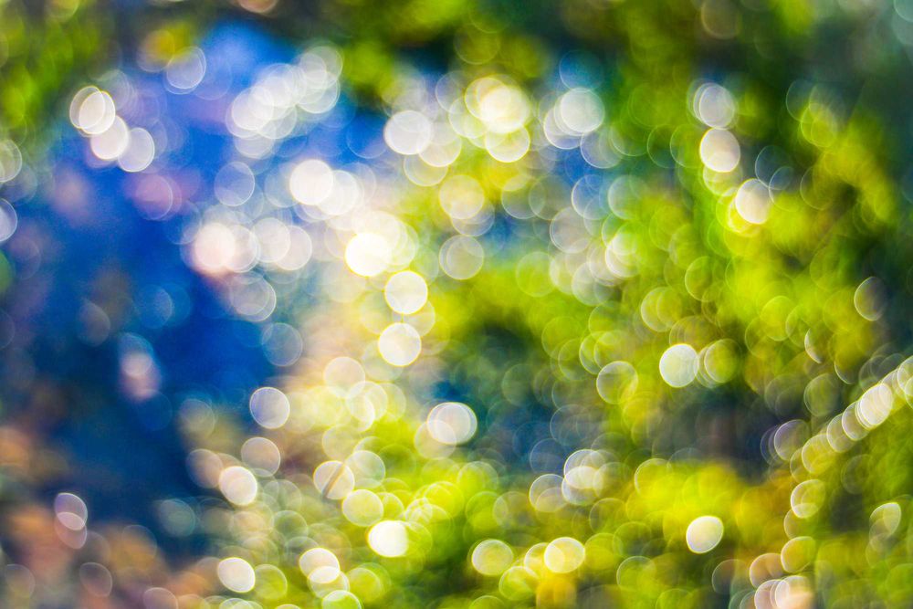 Soligor 35mm 2.8 sony Topcor canon fd m42 leica meike