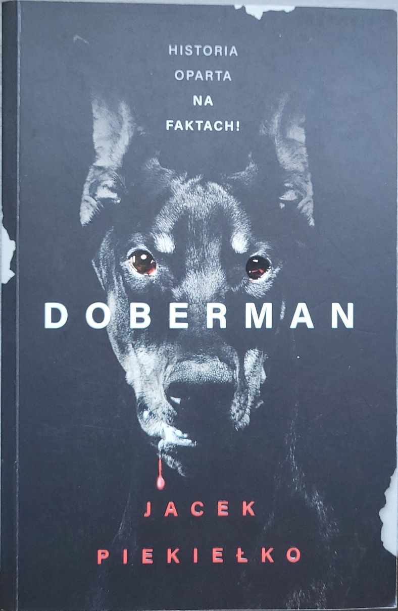 Doberman - Jacek Piekiełko