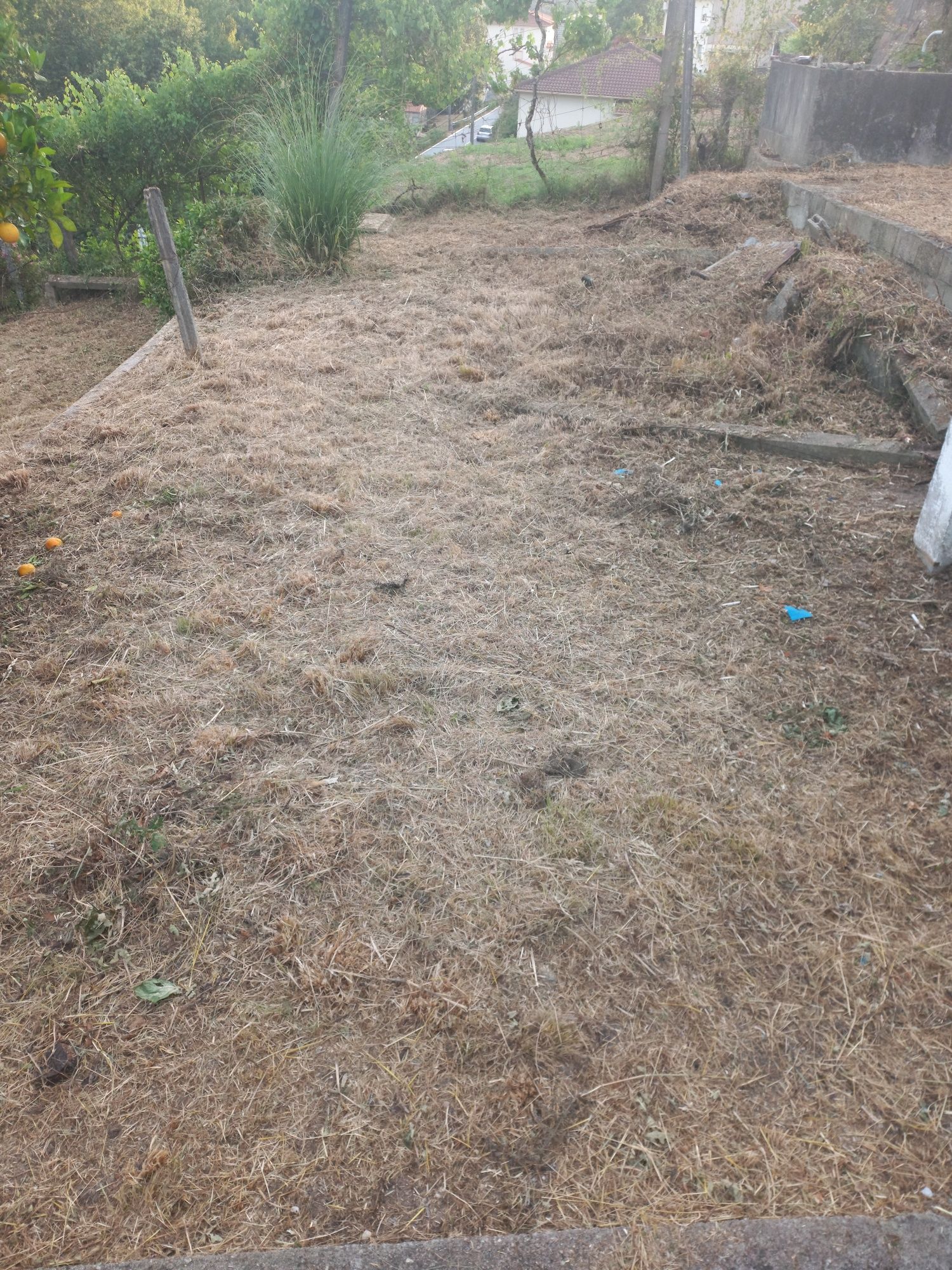 Limpeza de terrenos