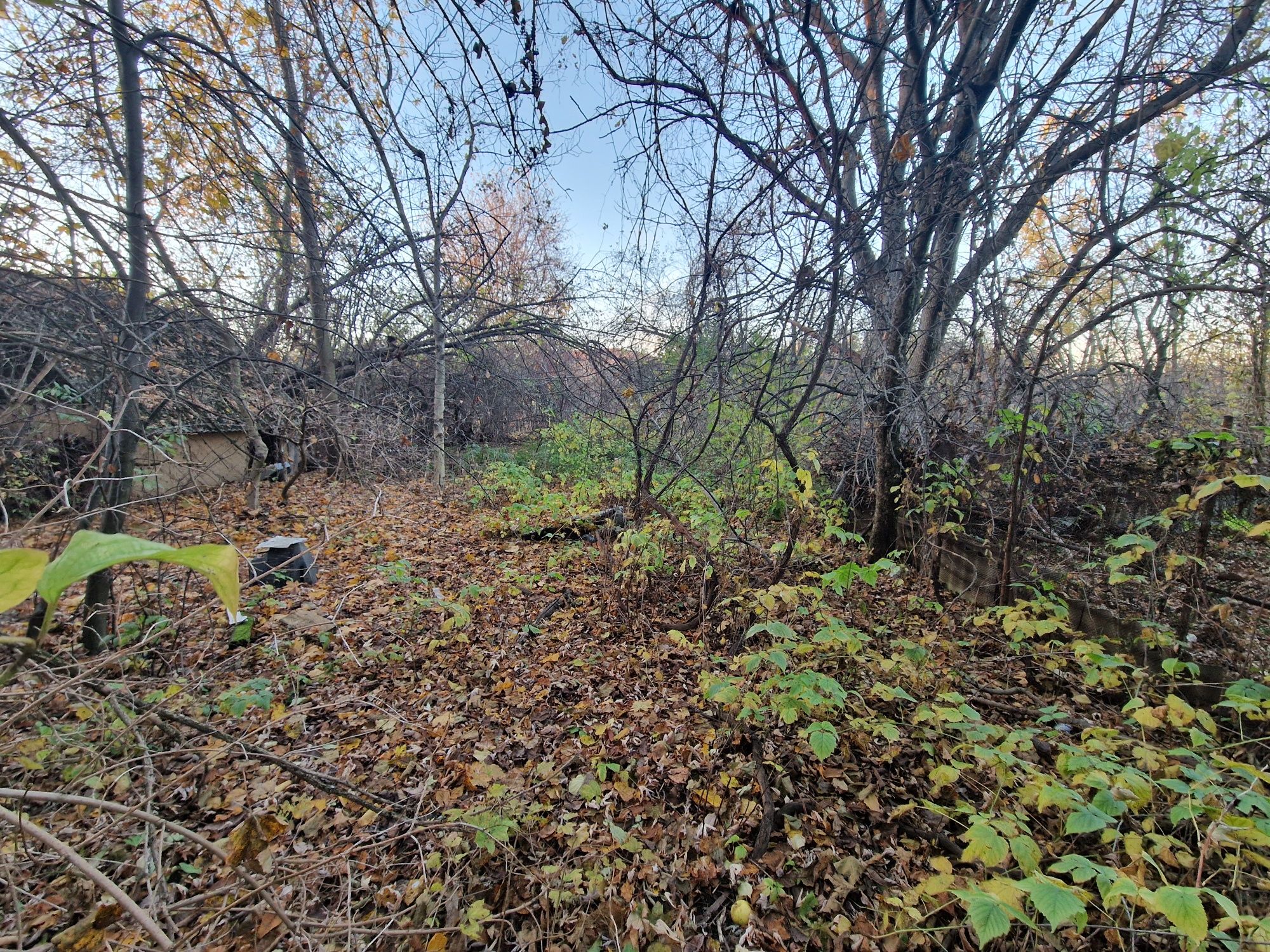 Земельна ділянка (6 сотих) для будівництва