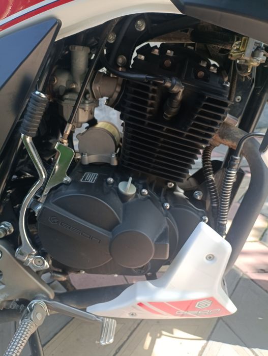 Geon pantera 250 (2024 року)