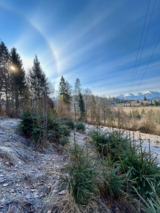 Земельна дідянка в селі Нижній Студенний
