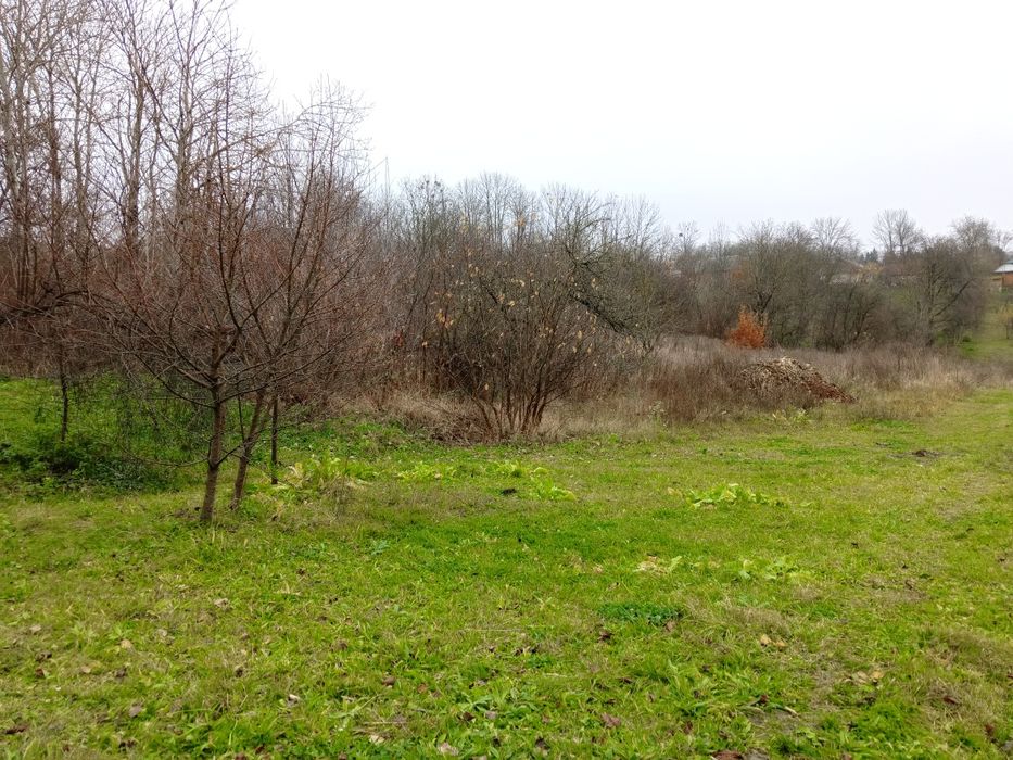 Продам земельну ділянку ОСГ