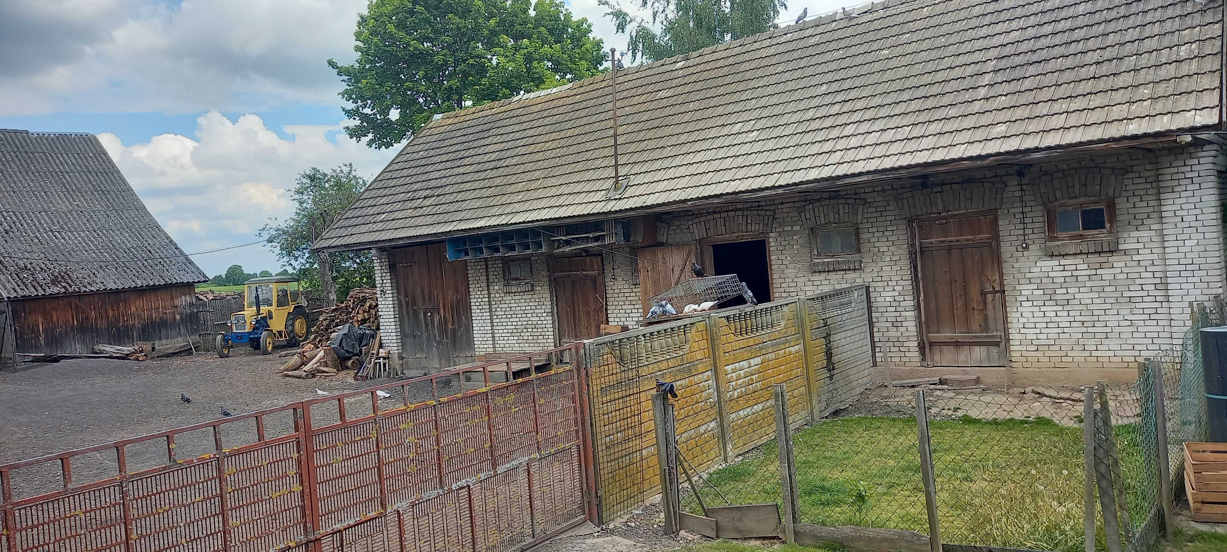 Nieruchomość 88 arów (71 arów orne + 17 arów podwórko z zabudowaniami)