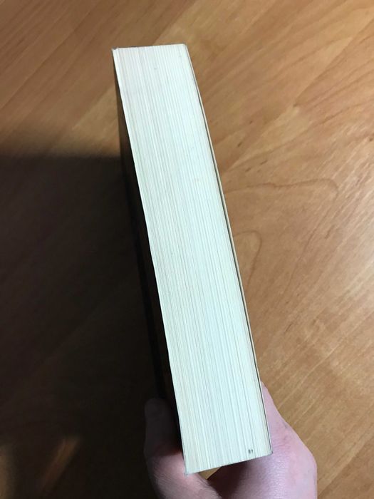 Biblioteka cieni Mikkel Birkegaard jak Imię Róży Cień wiatru /Kryminał