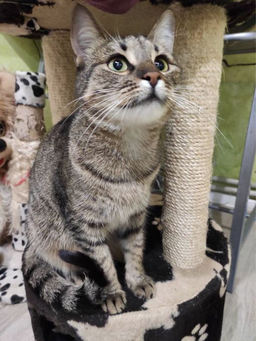 Дуже чекаю на тебе!