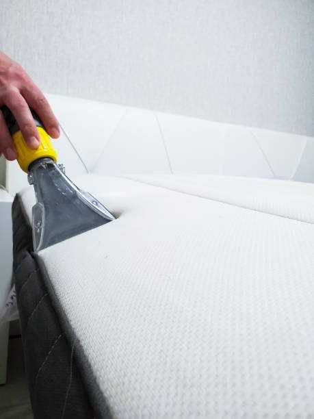 Limpeza e higienização: carpetes,  colchões, sofás, estofos automóvel