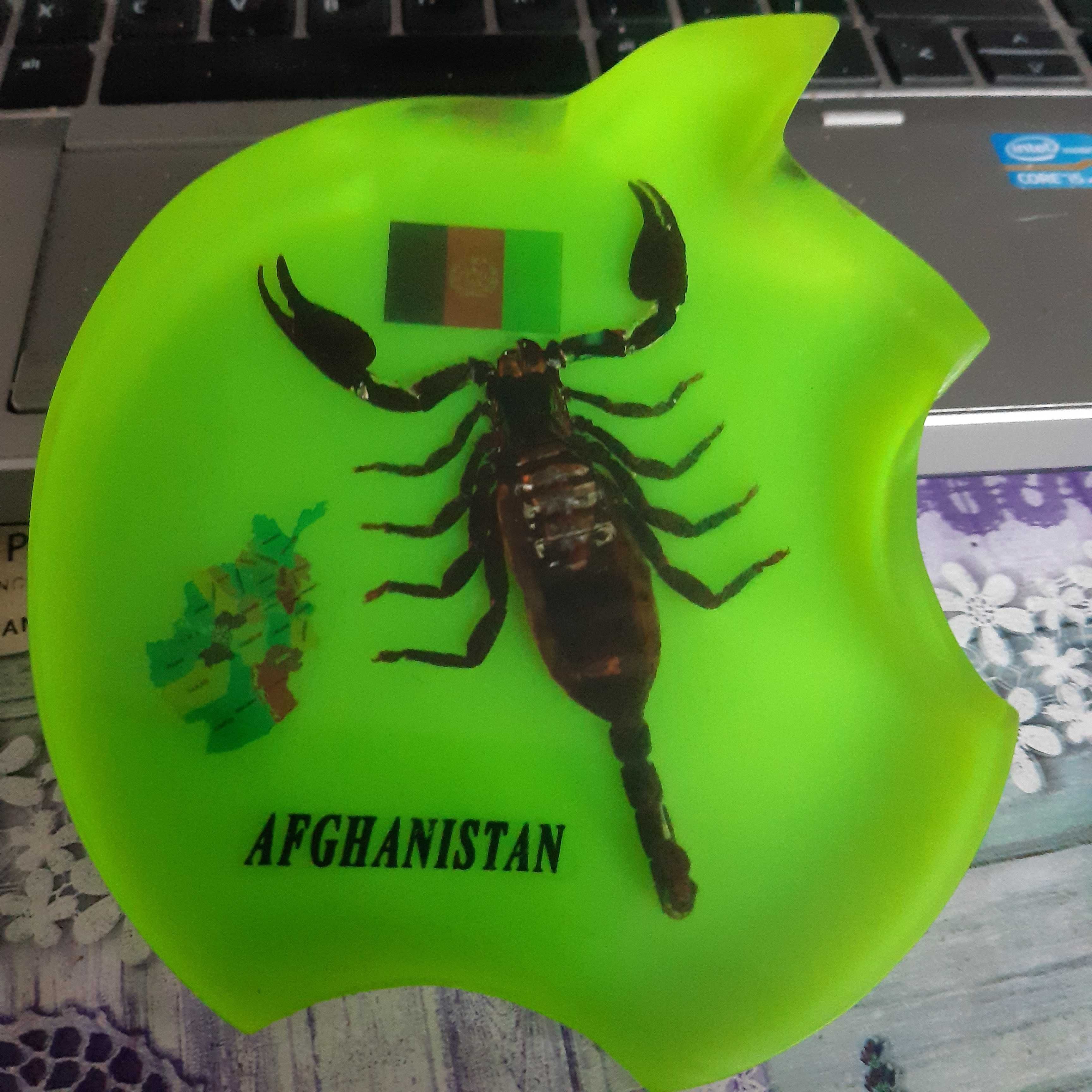 Skorpion pamiątka z Afganistanu