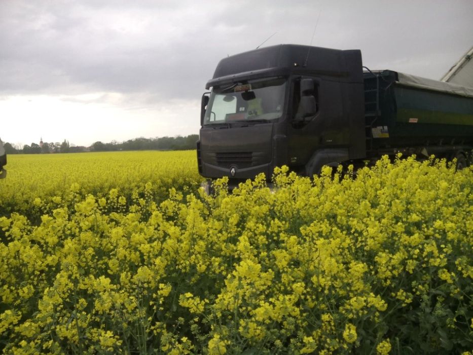 WAPNO nawozowe premium + ZAPRASZAM !!!