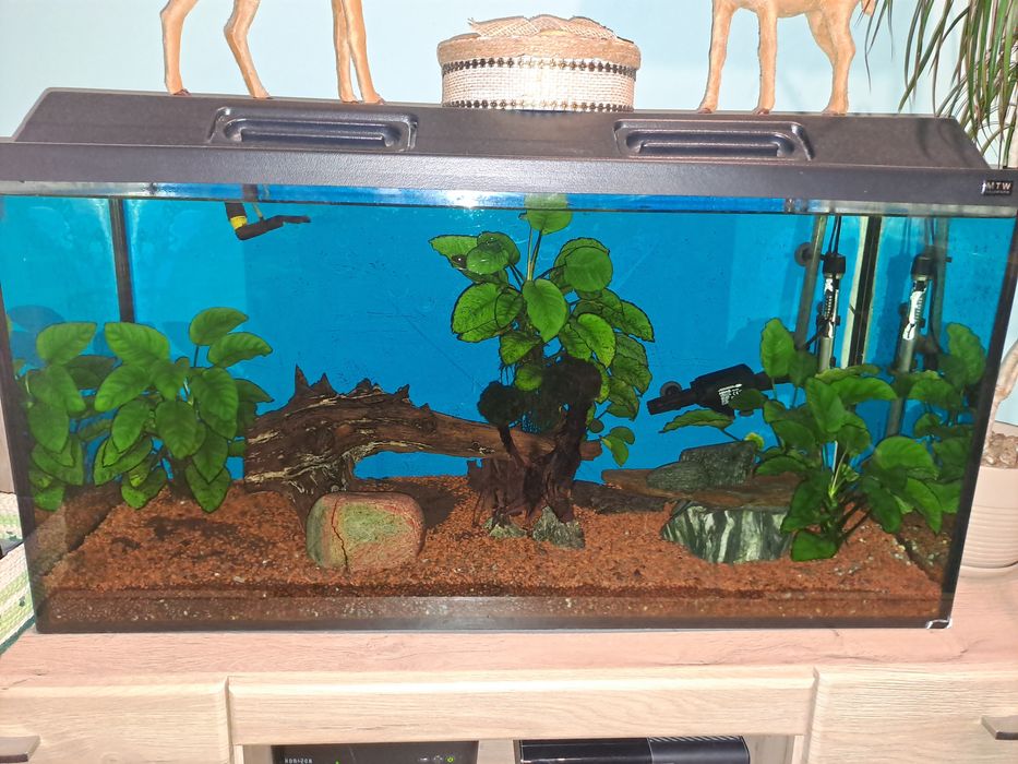 Sprzedam akwarium 240l z osprzętem