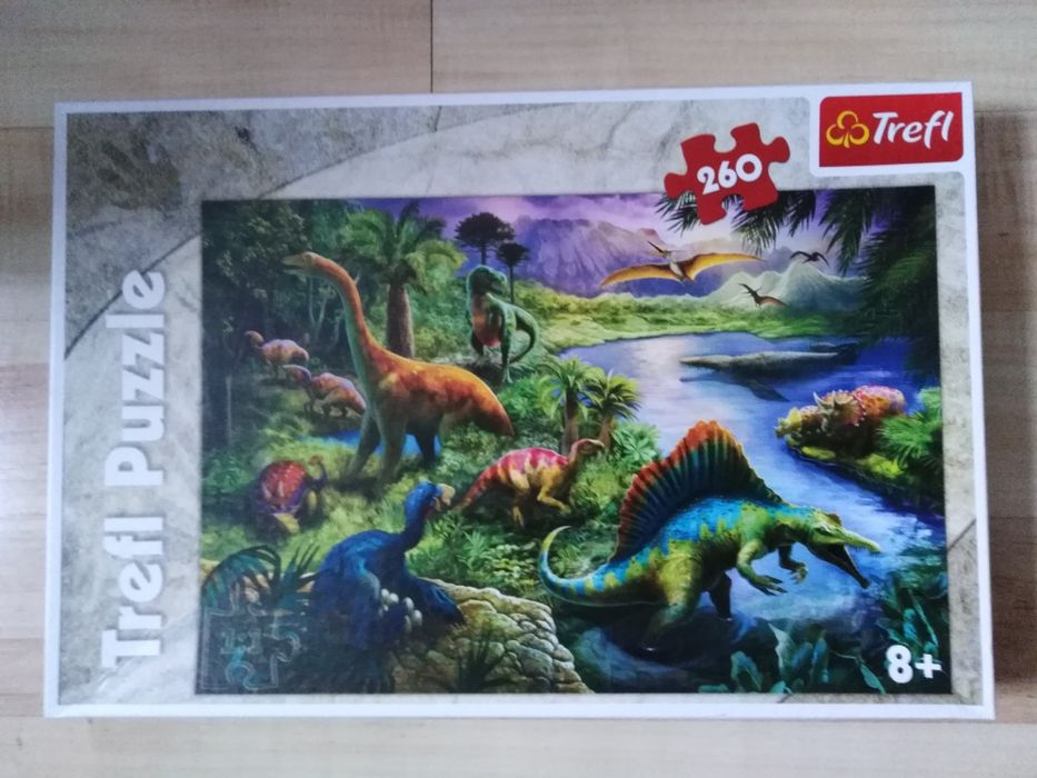 Puzzle Dinozaury 260, 8+